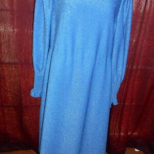 SHEIN BLUE WITH SILVER SPARKLE DRESS